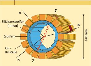 ch28-fig.5.jpg