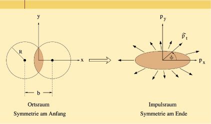 ch29-fig.1.jpg