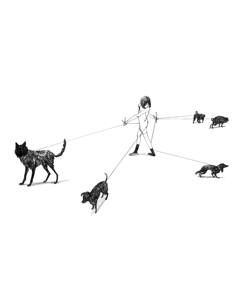 Illustrazione al tratto in bianco e nero. Bambina a spasso con 5 cani al guinzaglio che vanno in direzioni diverse.