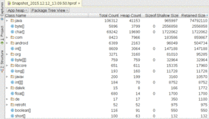 Heap Snapshot Tab, Package Tree View, As Initially Launched