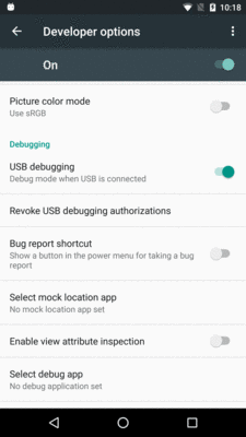 Debugging Options, in Settings App