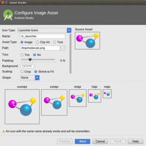 Asset Studio Wizard, First Page, After Loading Image