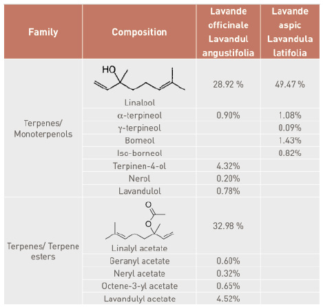 table - family composition.tif