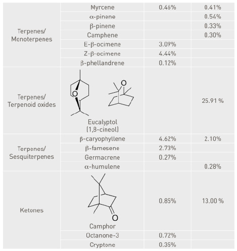 table - family composition2.tif