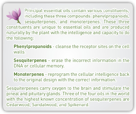 principal essential oils contain.tif