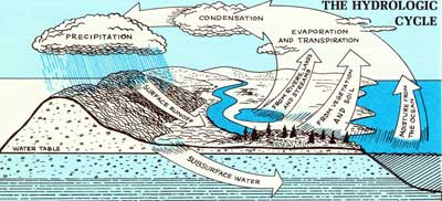 THE HYDROLOGIC CYCLE