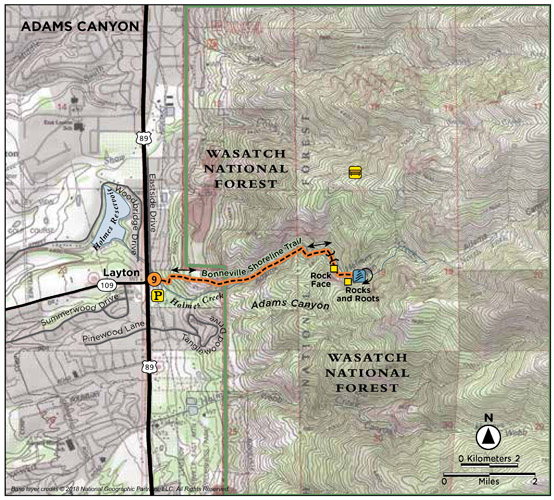 ADAMS CANYON