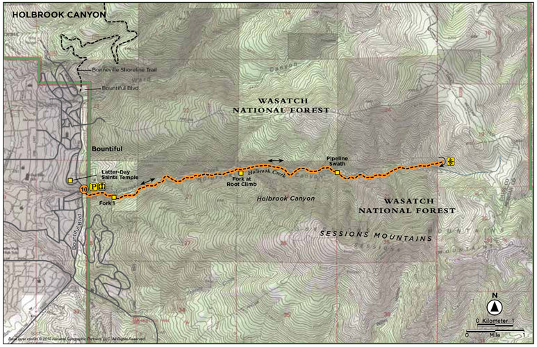 HOLBROOK CANYON