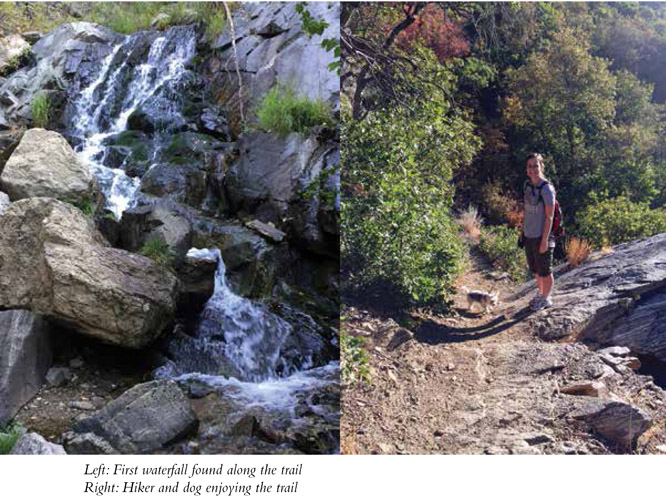 Left: First waterfall found along the trail Right: Hiker and dog enjoying the trail