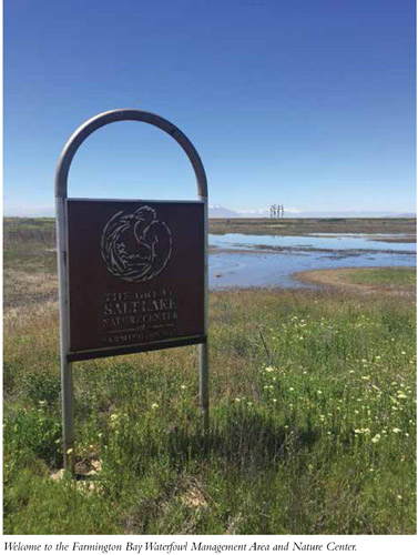 Welcome to the Farmington Bay Waterfowl Management Area and Nature Center.