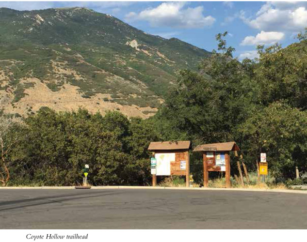 Coyote Hollow trailhead