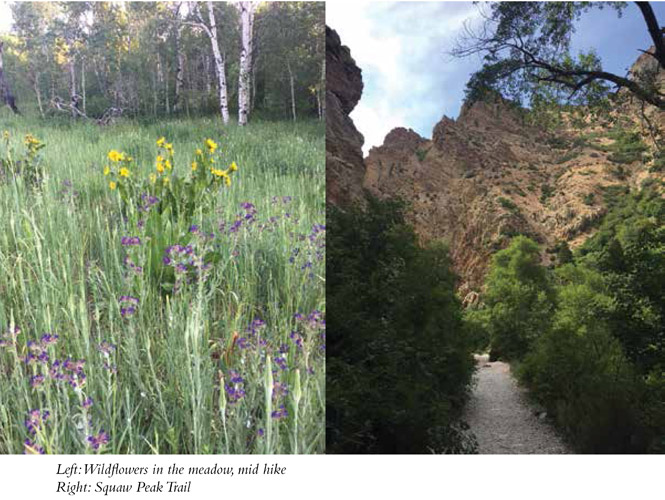 Left: Wildflowers in the meadow, mid hike Right: Squaw Peak Trail