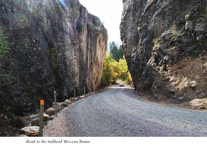 Road to the trailhead WILLIAM BARBA