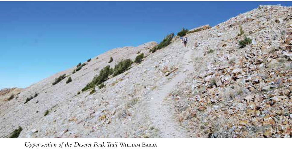 Upper section of the Deseret Peak Trail WILLIAM BARBA