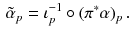 $$\begin{aligned} {\tilde{\alpha }}_p = \iota _p^{-1} \circ (\pi ^* \alpha )_p \,. \end{aligned}$$