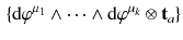 $$\begin{aligned} \left\{ \mathrm {d}\varphi ^{\mu _1}\wedge \cdots \wedge \mathrm {d}\varphi ^{\mu _k}\otimes {\mathbf {t}}_a \right\} \end{aligned}$$