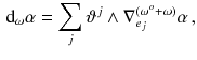 $$\begin{aligned} \mathrm {d}_\omega \alpha = \sum _j \vartheta ^j \wedge \nabla ^{(\omega ^o + \omega )}_{e_j} \alpha \, , \end{aligned}$$