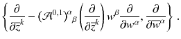 $$ \left\{ \frac{\partial }{\partial {\overline{z}^k}} - \big (\mathcal{A}^{0, 1} \big )^{\alpha }{}_\beta \left( \frac{\partial }{\partial {\overline{z}^k}} \right) w^\beta \frac{\partial }{\partial w^\alpha } , \frac{\partial }{\partial \overline{w}^\alpha } \right\} \, . $$