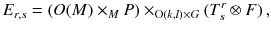 $$ E_{r, s} = (O(M) \times _M P) \times _{\mathrm {O}(k, l) \times G} (T^r_s \otimes F) \, , $$