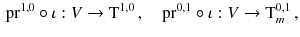 $$\begin{aligned} {{\mathrm{pr}}}^{1, 0} \circ \iota : V \rightarrow \mathrm{T}^{1, 0} \, , \quad {{\mathrm{pr}}}^{0, 1} \circ \iota : V \rightarrow \mathrm{T}_m^{0, 1} \, , \end{aligned}$$