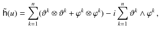 $$\begin{aligned} \tilde{{\textsf {h}}} (u) = \sum _{k = 1}^n (\vartheta ^k \otimes \vartheta ^k + \varphi ^k \otimes \varphi ^k ) - i \sum _{k = 1}^n \vartheta ^k \wedge \varphi ^k \, , \end{aligned}$$