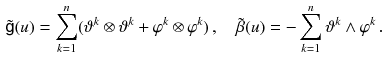 $$\begin{aligned} \tilde{{{\textsf {g}}}} (u) = \sum _{k = 1}^n (\vartheta ^k \otimes \vartheta ^k + \varphi ^k \otimes \varphi ^k ) \, , \quad \tilde{\beta } (u) = - \sum _{k = 1}^n \vartheta ^k \wedge \varphi ^k \, . \end{aligned}$$