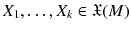 $$X_1, \ldots , X_k \in \mathfrak {X}(M)$$