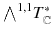 $${\textstyle {\bigwedge }}^{1, 1} T^*_\mathbb {C}$$