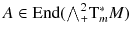 $$A \in {{\mathrm{End}}}({\textstyle {\bigwedge }}^2_+ \mathrm{T}^*_m M )$$