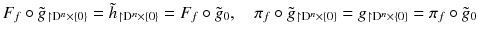 $$ F_f \circ \tilde{g}_{\upharpoonright \mathrm D^n \times \{0\}} = \tilde{h}_{\upharpoonright \mathrm D^n \times \{0\}} = F_f \circ \tilde{g}_0 ,\quad \pi _f \circ \tilde{g}_{\upharpoonright \mathrm D^n \times \{0\}} = g_{\upharpoonright \mathrm D^n \times \{0\}} = \pi _f \circ \tilde{g}_0 $$