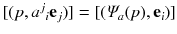 $$[(p, a^j{}_i \mathbf {e}_j)] = [(\varPsi _a(p),\mathbf {e}_i)]$$