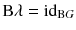 $$\mathrm B \lambda = {{\mathrm{id}}}_{{\mathrm B G}}$$