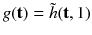 $$g(\mathbf {t}) = \tilde{h}(\mathbf {t} , 1)$$