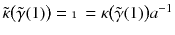 $$\tilde{\kappa }\big (\tilde{\gamma }(1)\big ) = \mathbbm {1} = \kappa \big (\tilde{\gamma }(1)\big ) a^{-1}$$