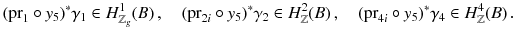 $$ ({{\mathrm{pr}}}_1\circ y_5)^*\gamma _1 \in H^{1}_{\mathbb {Z}_g}(B) \,,\quad ({{\mathrm{pr}}}_{2i}\circ y_5)^*\gamma _2 \in H^{2}_{\mathbb {Z}}(B) \,,\quad ({{\mathrm{pr}}}_{4i}\circ y_5)^*\gamma _4 \in H^{4}_{\mathbb {Z}}(B)\,. $$