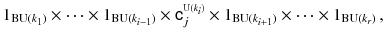 $$ 1_{\mathrm B\mathrm{U}(k_1)}\times \cdots \times 1_{\mathrm B \mathrm{U}( k_{i-1})} \times {{\mathsf {c}}}^{\scriptscriptstyle \mathrm{U}(k_i)}_j \times 1_{\mathrm B \mathrm{U}(k_{i+1}) }\times \cdots \times 1_{\mathrm B \mathrm{U}(k_r)}\,, $$