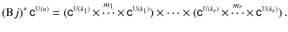 $$ \left( \mathrm B j\right) ^*{{\mathsf {c}}}^{\scriptscriptstyle \mathrm{U}(n)} = ({{\mathsf {c}}}^{\scriptscriptstyle \mathrm{U}(k_1)}\mathop {\times \cdots \times }\limits ^{m_1} {{\mathsf {c}}}^{\scriptscriptstyle \mathrm{U}(k_1)}) \times \cdots \times ({{\mathsf {c}}}^{\scriptscriptstyle \mathrm{U}(k_r)}\mathop {\times \cdots \times }\limits ^{m_r}{{\mathsf {c}}}^{\scriptscriptstyle \mathrm{U}(k_r)})\,. $$