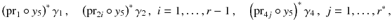 $$ \left( {{\mathrm{pr}}}_1\circ y_5\right) ^*\gamma _1 \,,\quad \left( {{\mathrm{pr}}}_{2i}\circ y_5\right) ^*\gamma _2 \,,\,\, i=1,\ldots , r-1 \,,\quad \left( {{\mathrm{pr}}}_{4j}\circ y_5\right) ^*\gamma _4 \,,\,\, j=1,\ldots , r^*\,, $$