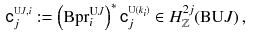 $$\begin{aligned} {{\mathsf {c}}}^{\scriptscriptstyle {\mathrm U J}, i}_{j}&:= \left( \mathrm B{{\mathrm{pr}}}^{\mathrm U J}_{i}\right) ^*{{\mathsf {c}}}^{\scriptscriptstyle \mathrm U(k_i)}_j \in H^{2j}_{\mathbb {Z}}(\mathrm B\mathrm U J)\,, \end{aligned}$$