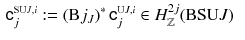 $$\begin{aligned} {{\mathsf {c}}}^{\scriptscriptstyle {\mathrm{SU}J}, i}_{j}&:= \left( \mathrm B j_J\right) ^*{{\mathsf {c}}}^{\scriptscriptstyle {\mathrm U J}, i}_{j} \in H^{2j}_{\mathbb {Z}}(\mathrm B{\mathrm{SU}J})\end{aligned}$$