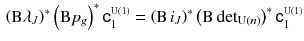 $$\begin{aligned} \left( \mathrm B\lambda _J\right) ^*\left( \mathrm B p_g\right) ^*{{\mathsf {c}}}^{\scriptscriptstyle \mathrm{U}(1)}_1 = \left( \mathrm B\!\;i_J\right) ^*\left( {\mathrm B} \det \nolimits _{{\mathrm U}(n)}\right) ^*{{\mathsf {c}}}^{\scriptscriptstyle \mathrm{U}(1)}_1 \end{aligned}$$