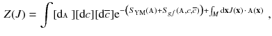 $$\begin{aligned} Z(J) = \int [\mathrm {d}{\mathbbm {A}} ] [\mathrm {d}c ] [\mathrm {d}\overline{c}] \mathrm e^{- \big (S_{\mathrm Y \mathrm M} ({\mathbbm {A}}) + S_{gf} ({\mathbbm {A}}, c, \overline{c}) \big ) + \int _M \mathrm {d}\mathbf {x} J (\mathbf {x})\,\cdot \, {\mathbbm {A}} (\mathbf {x}) }\, , \end{aligned}$$