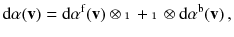 $$ \mathrm {d}\alpha (\mathbf {v}) = \mathrm {d}\alpha ^\mathrm{f} (\mathbf {v}) \otimes {\mathbbm {1}} + {\mathbbm {1}} \otimes \mathrm {d}\alpha ^{\mathrm b}(\mathbf {v}) \, , $$