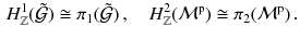 $$\begin{aligned} H^{1}_{\mathbb {Z}}(\tilde{\mathcal{G}}) \cong \pi _1( {\tilde{\mathcal{G}}}) \, , \quad H^{2}_{\mathbb {Z}}(\mathcal{M}^\mathrm{p}) \cong \pi _2(\mathcal{M}^\mathrm{p})\, . \end{aligned}$$