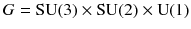 $$G = \mathrm{SU}(3) \times \mathrm{SU}(2) \times \mathrm{U}(1)$$