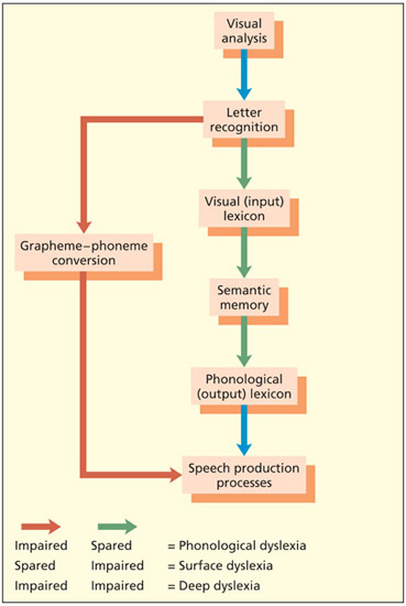 fig12_10