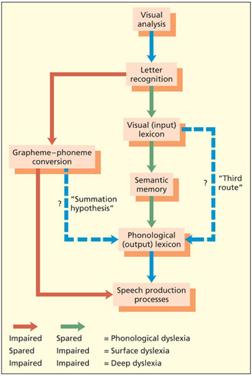 fig12_12