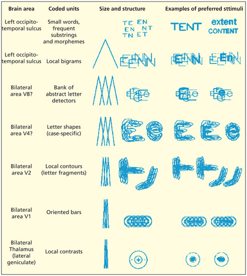 fig12_5