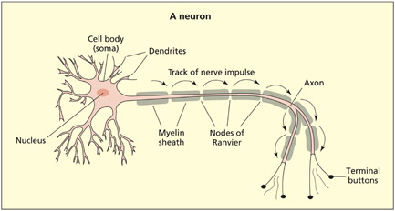 fig2_1