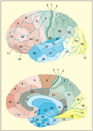 fig2_10